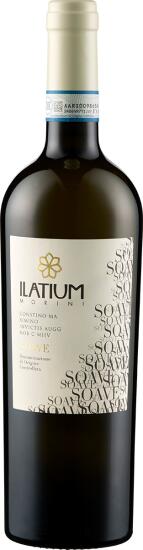 wein Soave - Bio von Weingut Latium Morini günstig