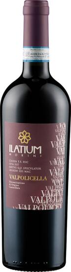 wein Valpolicella von Weingut Latium Morini günstig
