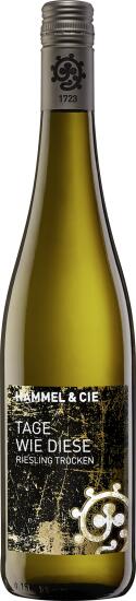 wein Tage wie diese Riesling trocken von Weingut Hammel günstig