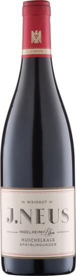 wein Neus Muschelkalk Spätburgunder VdP.Gutswein trocken von Weingut J. Neus günstig