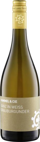 wein Grauburgunder Ganz in Weiss trocken von Weingut Hammel günstig