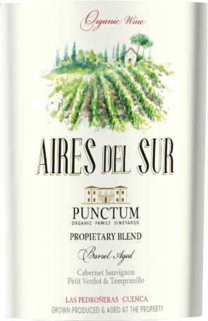 vinello Aires del Sur - Dominio de Punctum Versandkostenfrei