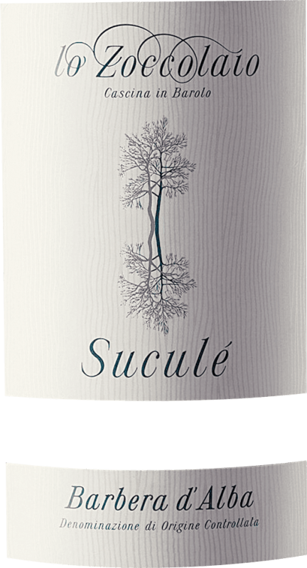 vinello Suculé Barbera d'Alba DOC - Lo Zoccolaio Flash Sale