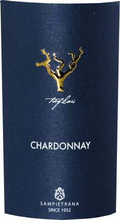 vinello Trefilari Chardonnay Puglia IGP - Cantina Sampietrana Cyber Monday