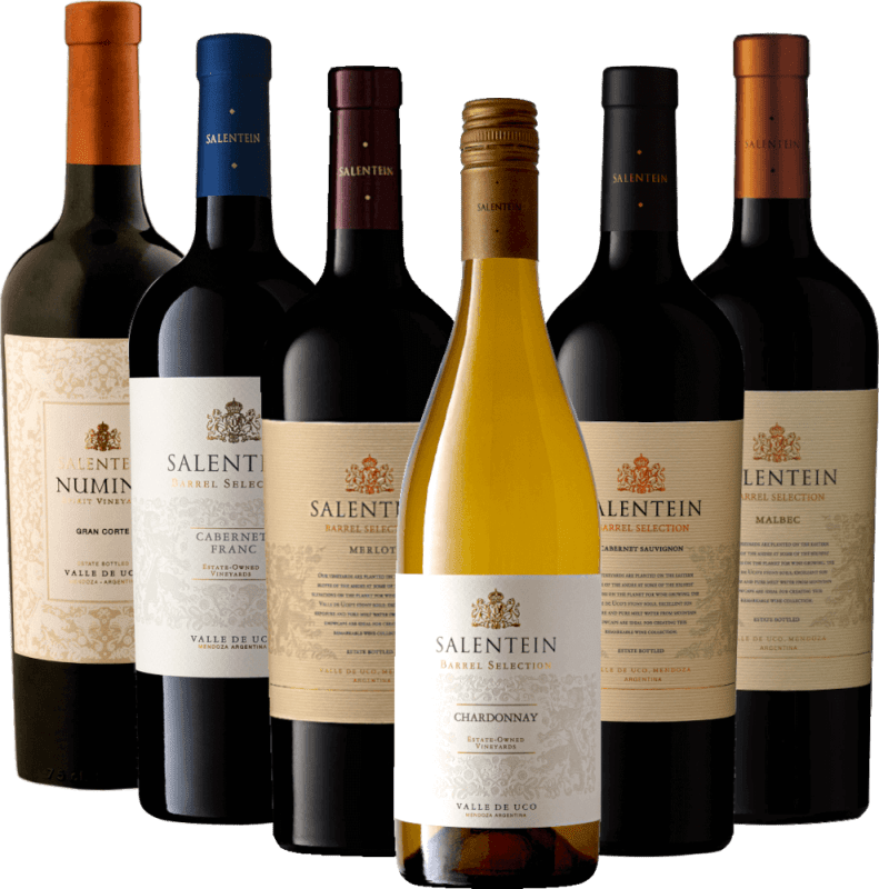 vinello Die Seele Mendozas mit Bodegas Salentein - 6x Probierpaket Letzter Tag