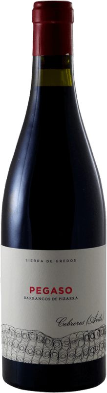 vinello Pegaso Pizarra Castilla y Léon - Telmo Rodriguez